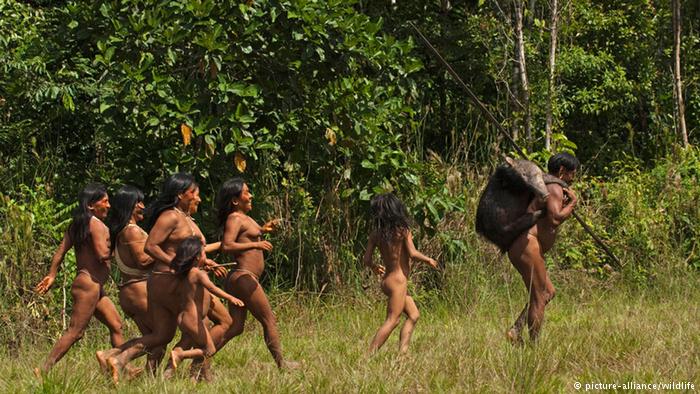 Indiens Huaorani dans le Parc national Yasuni Equateur