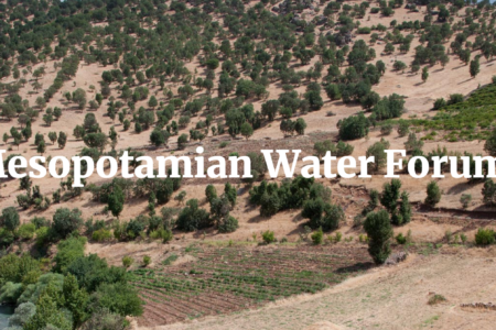 mesopotamian water forum