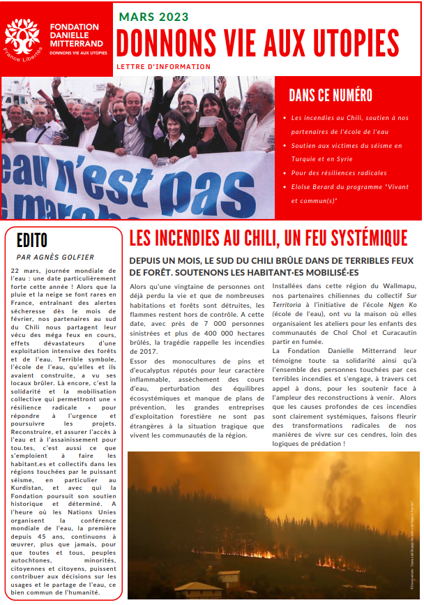 Fondation Danielle Mitterand Les incendies au Chili, un feu systémique